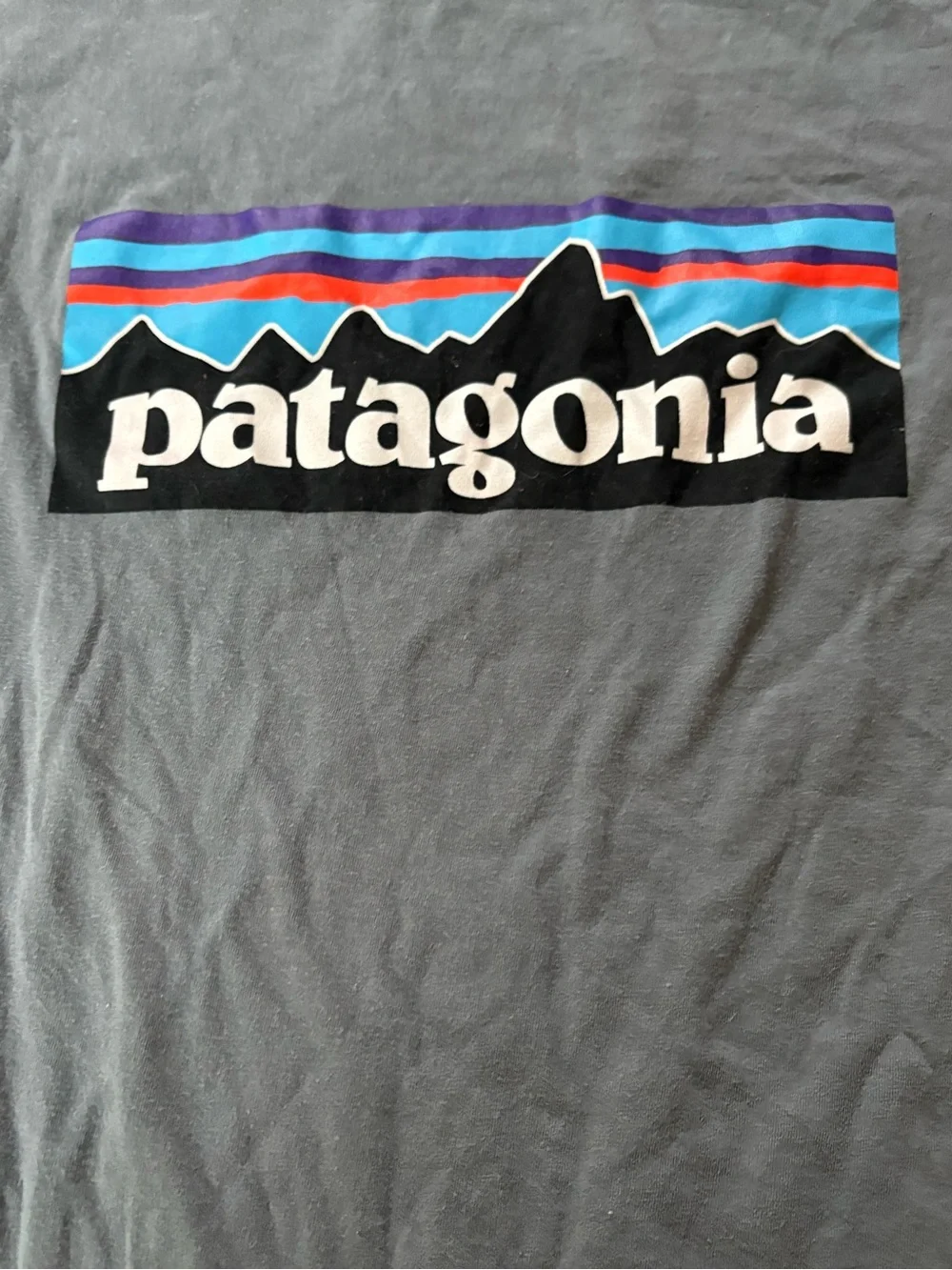 Patagonia Short-Sleeve Logo Tee in Slate Blue with Multicolor Graphic